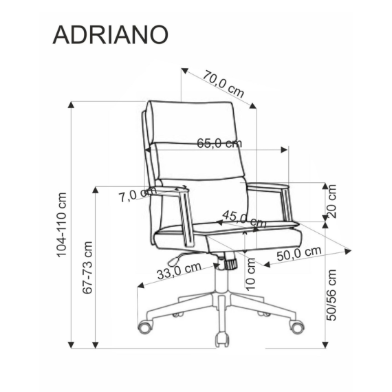 FOTOLIU ADRIANO GRI