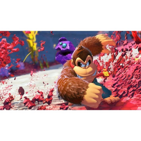 GAME FOR SWITCH 2 DONKEY KONG BANANZA UKV