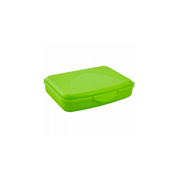 168017 CONTAINER UNIVERSAL DE DEPOZITARE ALEANA M, 1.2L, 19X14X4.5 CM