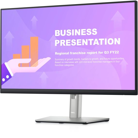 23.8" MONITOR DELL P2422H / 5MS / FHD / BLACK/SILVER