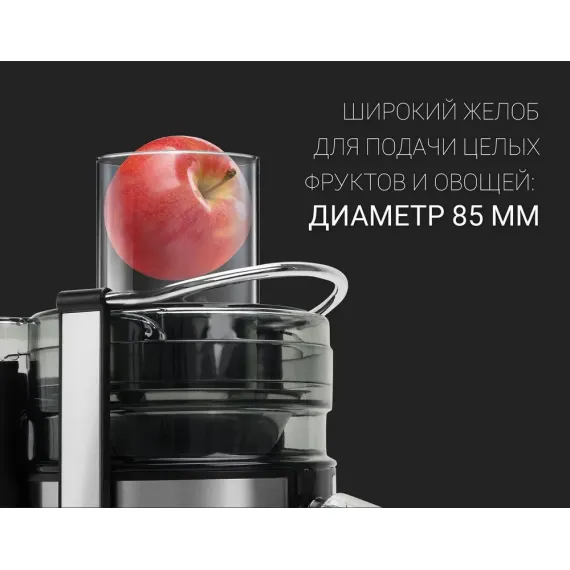 STORCATOR DE FRUCTE SI LEGUME POLARIS PEA1536ADL, ARGINTIU