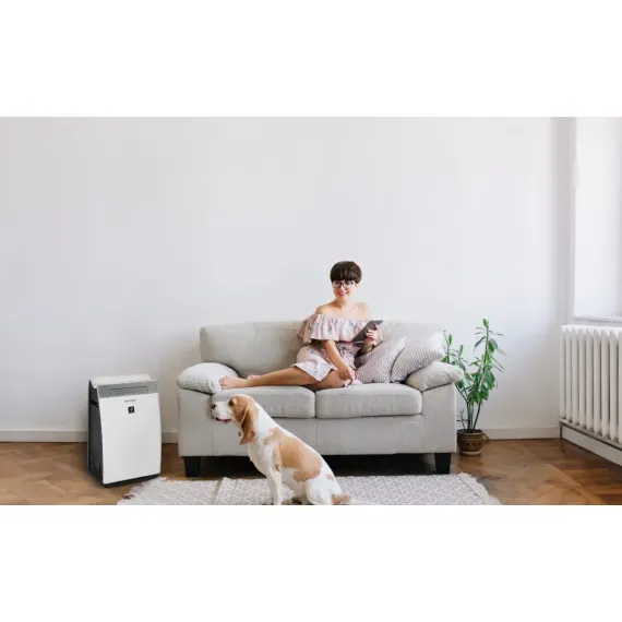 УВЛАЖНИТЕЛЬ И ОЧИСТИТЕЛЬ ВОЗДУХА SHARP KIG75EUW, БЕЛЫЙ