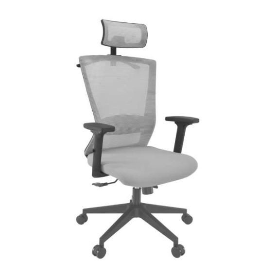 FOTOLIU BIROU TUSCOLA~GREY