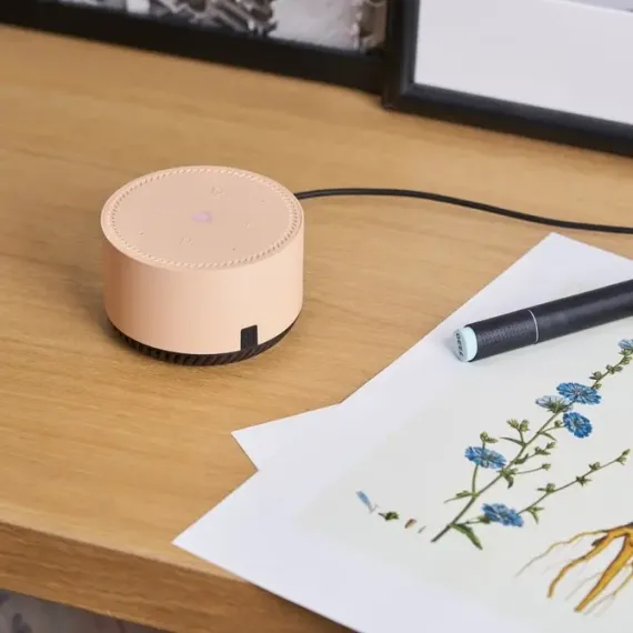 BOXA PORTABILA YANDEX YNDX-00025, CAPPUCCINO