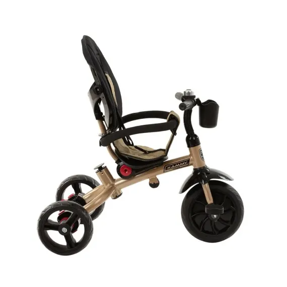 BICICLETA CU TREI ROTI MAKANI XAMMY,