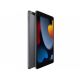 Apple iPad 10.2 2021 256Gb WiFi Space Grey