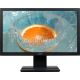 19.5" Monitor ACER V206HQL [UM.IV6EE.A01] / 5ms / Black