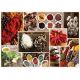 10358 Trefl Puzzles - "1000" - Spices / Trefl 10358 Trefl Puzzles - "1000" - Spices / Trefl