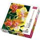 10503 Trefl Puzzles - "1000" - Nature Limited edition Flowers Orchidea 10503 Trefl Puzzles - "1000" - Nature Limited edition Flowers Orchidea