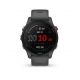 Умные часы Garmin Forerunner 255, Slate Grey Умные часы Garmin Forerunner 255, Slate Grey