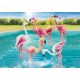PM70351 Flock of Flamingos PM70351 Flock of Flamingos