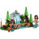 Lego Friends 41677 Конструктор Forest Waterfall