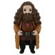 Spin Master 6061833 Набор фигурок Harry Potter Гермиона и Хагрид Spin Master 6061833 Набор фигурок Harry Potter Гермиона и Хагрид