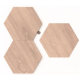 Nanoleaf Elements Hexagons Expansion