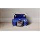 Робот-пылесос Dyson 360 Vis Nav robot vacuum Робот-пылесос Dyson 360 Vis Nav robot vacuum