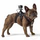 Крепление-упряжка для собак GoPro Fetch Dog Harness