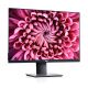 24.1" Monitor DELL P2421 / 5ms / FHD / Black